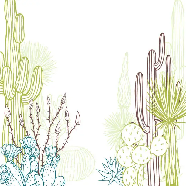 Vector illustration of Desert plants, cacti. Vector background.