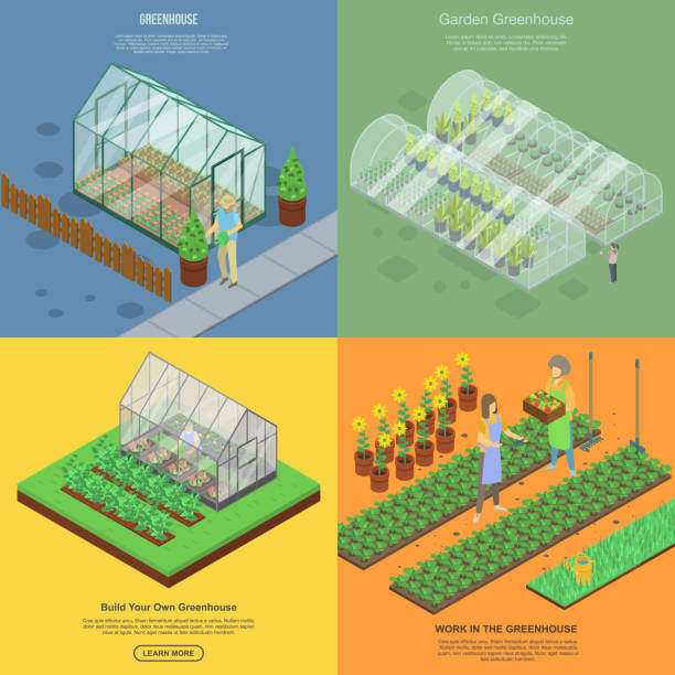 ilustraciones, imágenes clip art, dibujos animados e iconos de stock de conjunto de banners de invernadero, estilo isométrico - greenhouse