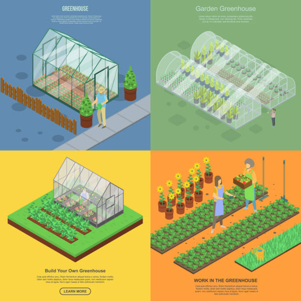 温室バナーセット、アイソメスタイル - greenhouse点のイラスト素材／クリップアート素材／マンガ素材／アイコン素材