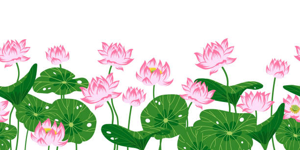 bezszwowa obramowanie z różowymi lotosami - water lily obrazy stock illustrations