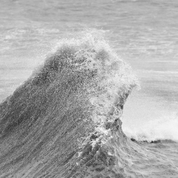 istock Amzing image of individual wave breaking and cresting during violent windy storm in black and white with superb detail 1251468492