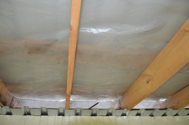 istock Overhang grating design for a house the roof 1251473038