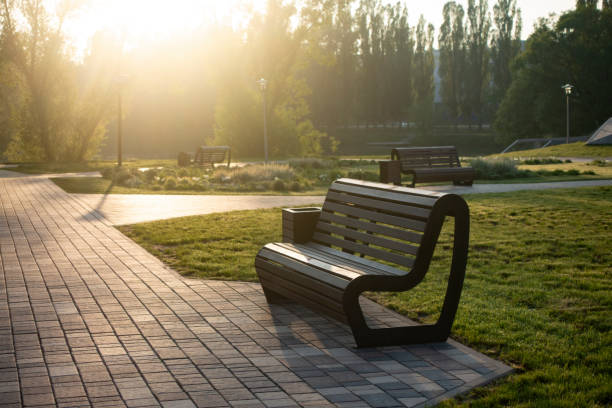 istock Lonely empty Bench in the city park 1251475059