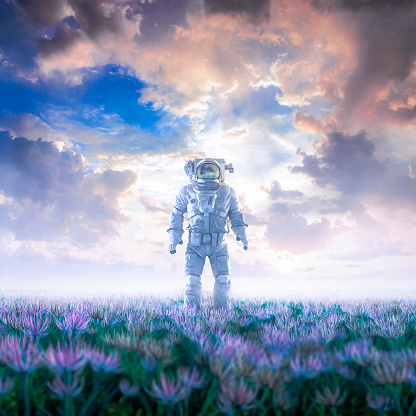 3D illustration of surreal science fiction scene with lone astronaut walking through field of flowers under glorious sky