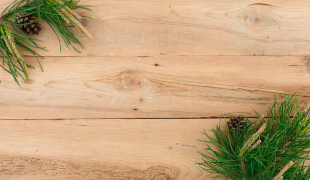 istock Christmas flatlay on a rustic wooden background: green pine needles with cones. 1251476633