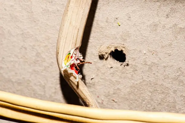 Concept: The danger of drilling through a electrical cable in the wall