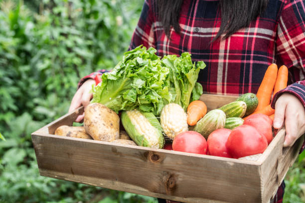 istock Farmer holding a box of freshly vegetables 1251478350