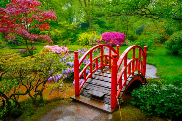Small bridge in Japanese garden, Park Clingendael, The Hague, Netherlands