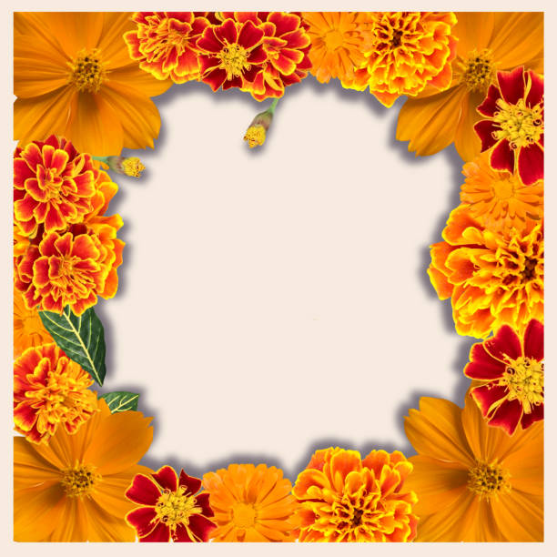istock floral frame with Various Yellow and orange color 1251483079