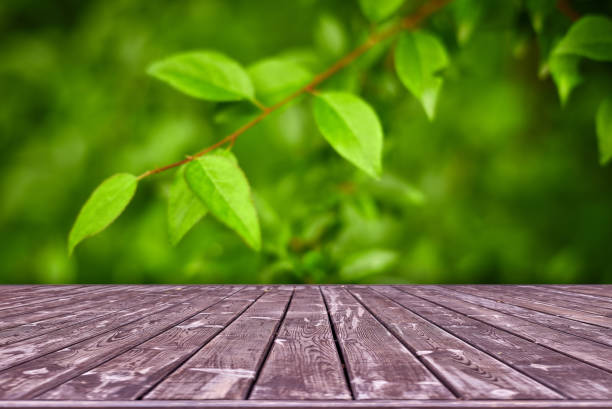 istock Mockup. Empty wooden deck table with foliage bokeh background. 1251485092