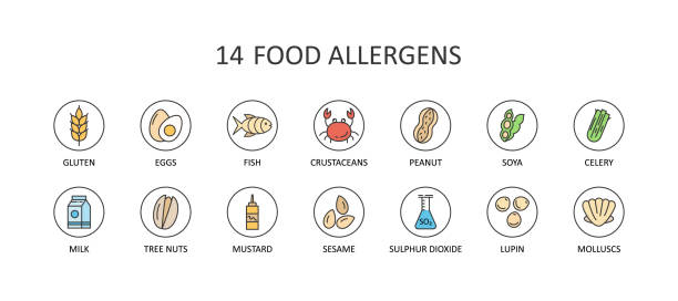14 food allergens. Round colored vector icons with editable stroke. Gluten free milk eggs celery sesame nuts. Fish molluscs crustaceans soybean lupins. Chemical constituents of sulphur dioxide 14 food allergens. Round colored vector icons with editable stroke. Gluten free milk eggs celery sesame nuts. Fish mollusks crustaceans soybean lupins. Chemical constituents of sulphur dioxide. pollen stock illustrations