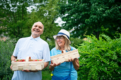 Portrait of a senior couple holding punnets of strawberries.
Nikon D850