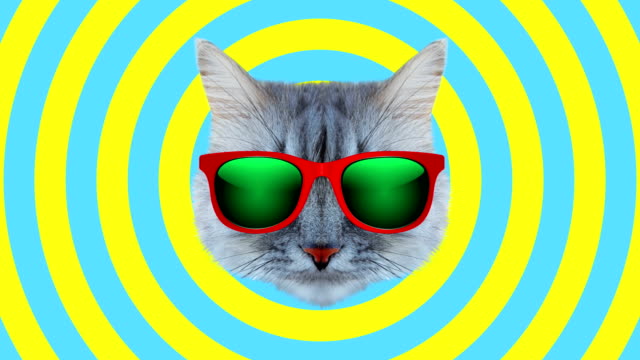 Cat style wiggle moving color background