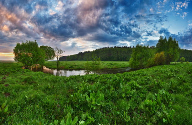 istock Beautiful spring sunrise over river banks 1251492691