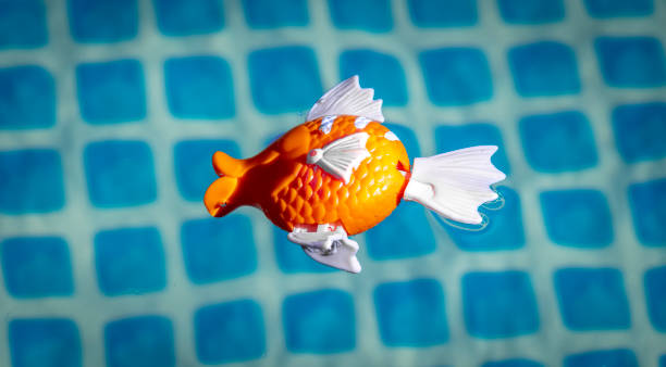 istock Toy fish in the pool 1251493806
