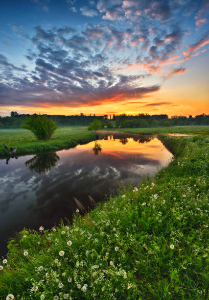 istock Beautiful spring sunrise over river banks 1251493980