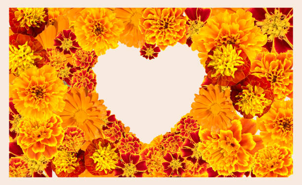 istock Beautiful floral heart shape frame 1251497551