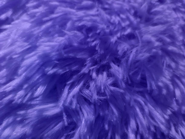 istock fur texture violet purple color, blurred for background 1251499487