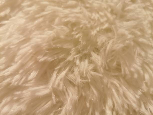 istock fur texture from a white sheepskin rug blurred for background 1251499499