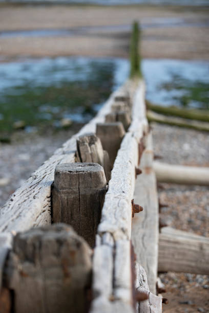 istock Wooden groynes 1251500692