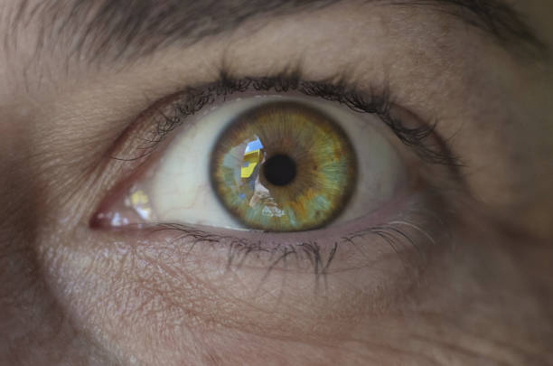 istock Green eyes in a macro photo 1251500717