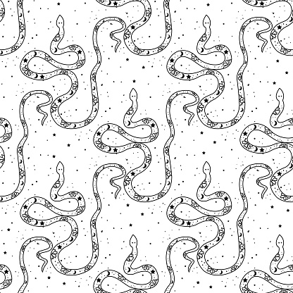 Pattern Ular Seamless Pattern Mystical Ular Dengan Bulan Dan Bintangbintang Konsep ...