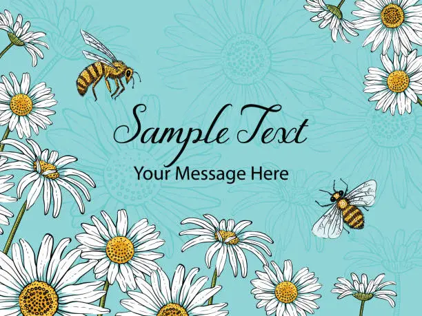 Vector illustration of Summer Daisies and Bees Vector Frame Background