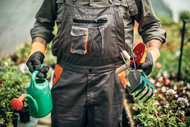 istock Man nursing flowers on flower farm 1251508268