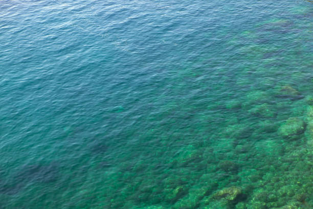 istock top view of sea clear water 1251508384