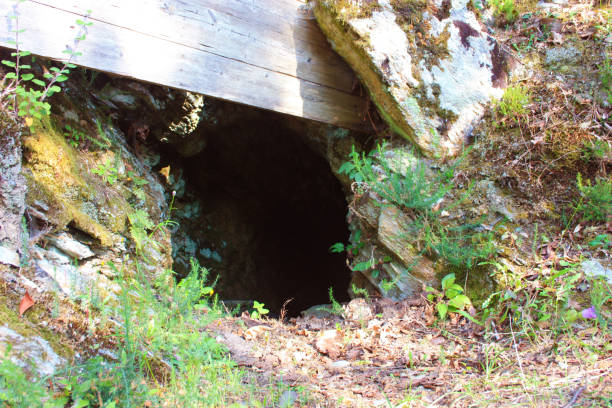 abertura de entrada de um antigo bunker militar da segunda guerra mundial escondido no mato na toscana - tuscany abandoned - fotografias e filmes do acervo