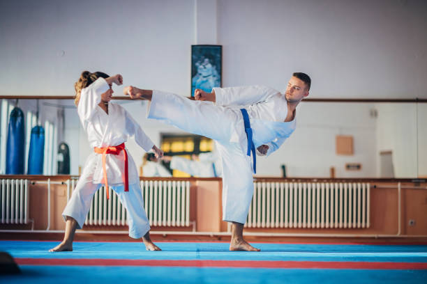istock Young karate students training karate together indoors 1251510634