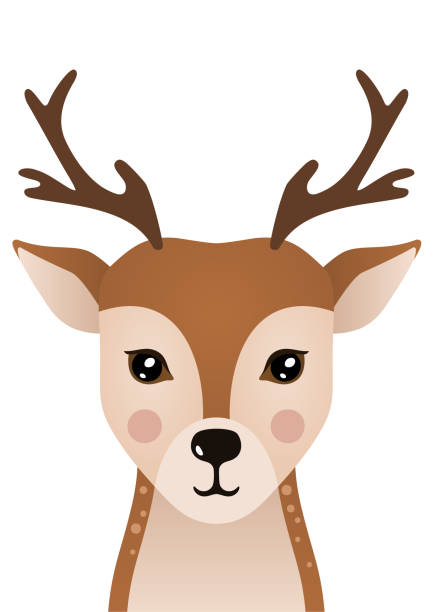 Cute deer. Woodland forest animal. Poster for baby room. Childish print for nursery. Design can be used for fashion t-shirt, greeting card, baby shower. Vector illustration. vector art illustration