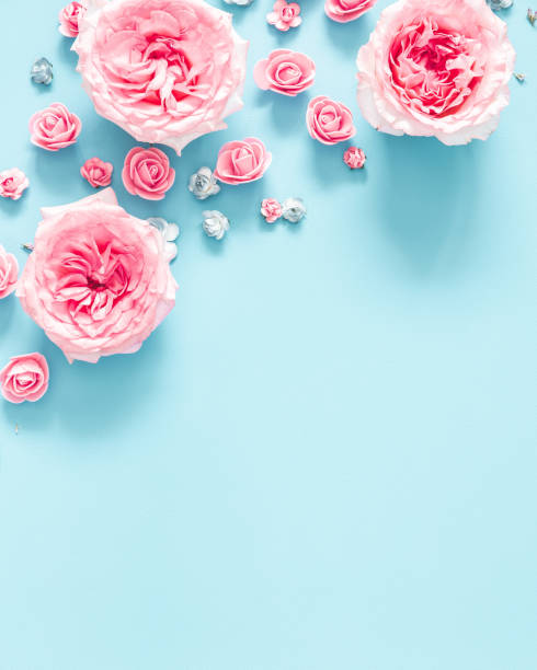 istock Flowers composition. Frame made of rose flowers on blue background. Flat lay, top view, copy space 1251514407
