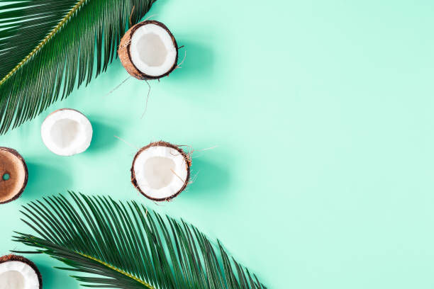 istock Summer composition. Coconut, palm leaf on mint background. Summer concept. Flat lay, top view 1251514424