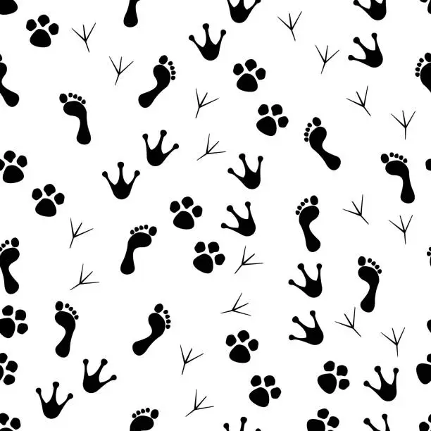 Vector illustration of Paw seamless pattern. Animal and human paws. Footprint of cat, dog and bird for print. Cartoon or veterinary wallpaper with trace of wildlife. Steps of cute pets. Graphic silhouette of trail. Vector