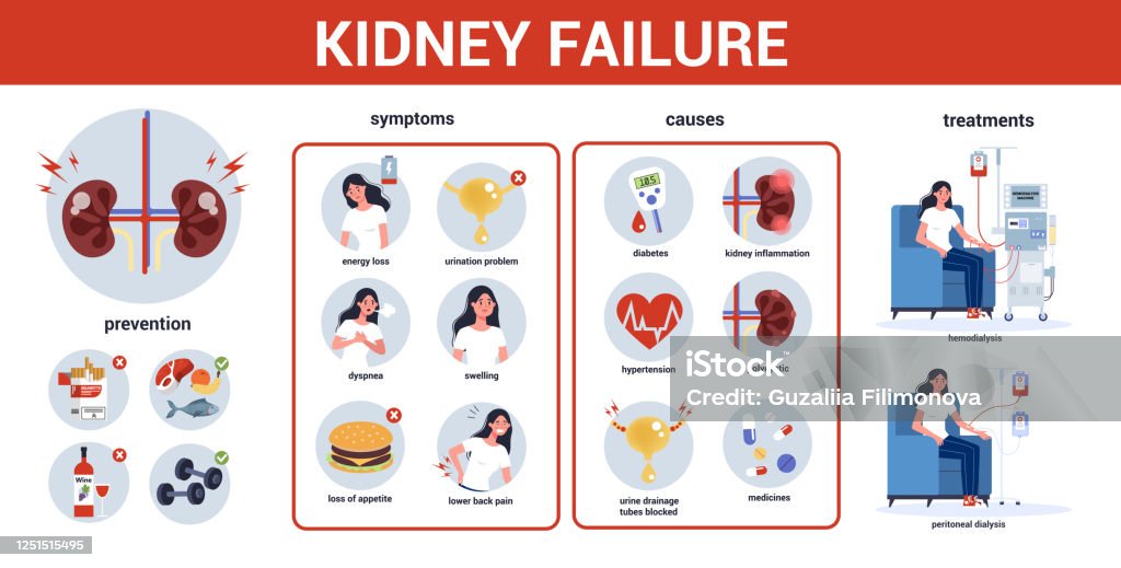 Kidney Failure Infographic Symptoms Causes Prevention And Treatment Idea Of Medical Stock Illustration - Download Image Now - iStock Kidney Failure Infographic Symptoms Causes Prevention And Treatment Idea Of Medical Stock Illustration - Download Image Now - iStock