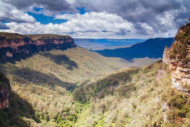 istock Blue Mountains Valley View in Australia 1251515685