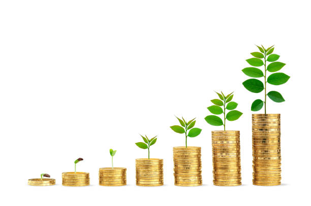 istock Money savings. A coin stack increase with a small tree growing. 1251516870