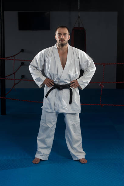istock Black Belt Karate Expert With Fight Stance 1251520210