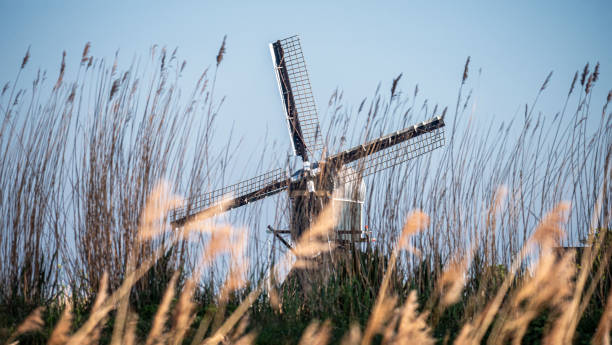 istock Seesaw mill in the Munikkenpolder 1251520327