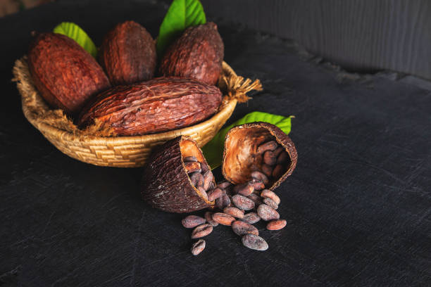 istock Dried cocoa and cocoa beans 1251521740