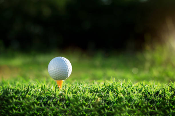 golf ball on tee in a beautiful golf course with morning sunshine.