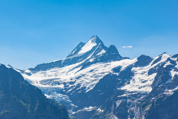 потрясающий панорамный вид на шрекхорн над гриндельвальдом в солнечный летний день, знаменитую гору выше 4000 м швейцарских альп на бернском - switzerland interlaken schreckhorn mountain стоковые фото и изображения