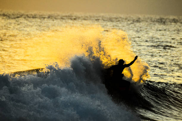 istock Silhouette Surfer at Sunset 1251529324