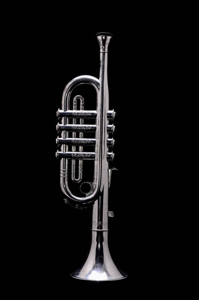 istock Silver Vintage Toy Trumpet 1251529360
