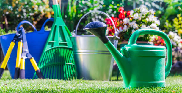 istock Gardening tools on the grass in the garden 1251529997