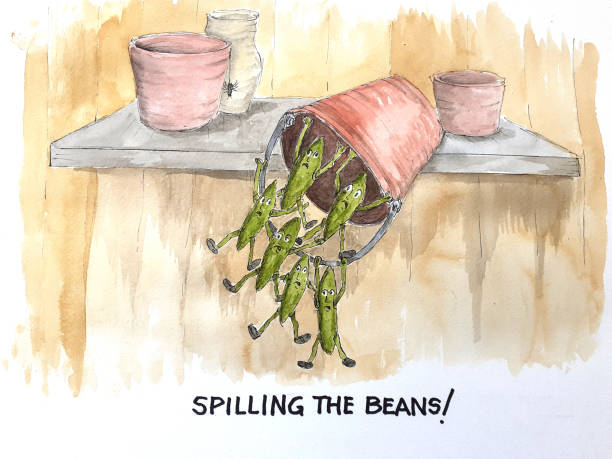 bohne - verschütten der bohnen - green bean bean green bucket stock-grafiken, -clipart, -cartoons und -symbole