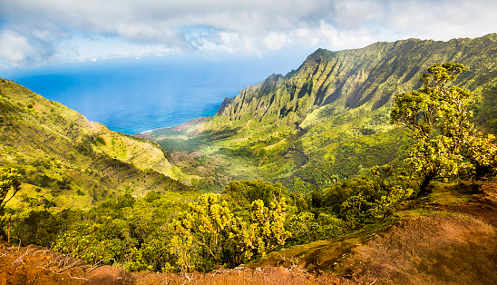 The scenic Waimea Canyon State Park, the Kalalau Lookout, a popular attraction on the island of Kauai of Hawaii USA