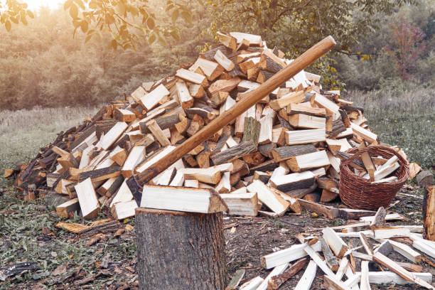 legna da ardere tritata su una pila preparata per un inverno freddo. - wood axe foto e immagini stock