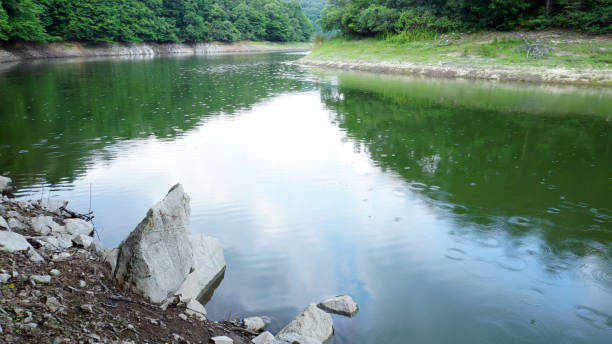 istock Lake in the forest, reflection in the water, beautiful scenery 1251541340